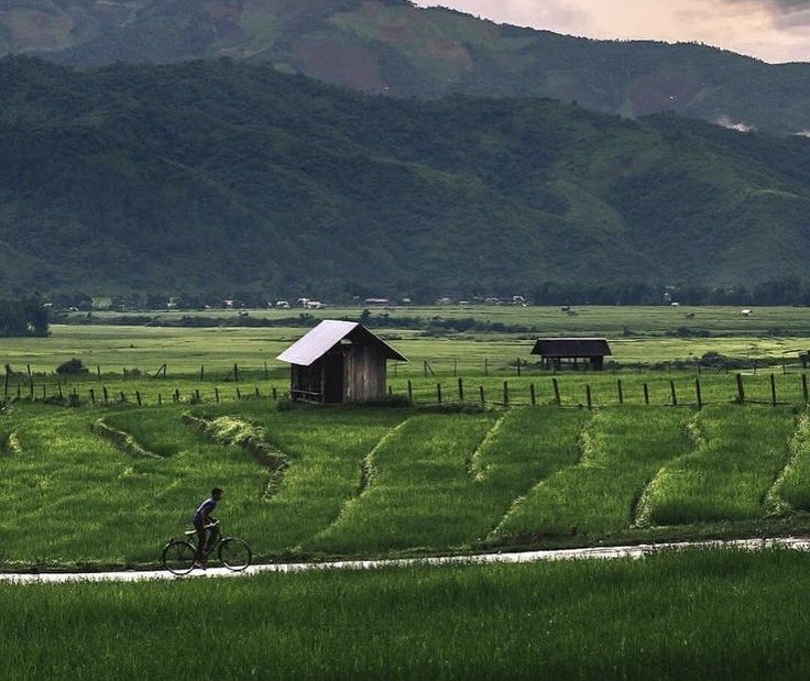 About Us fields of manipur