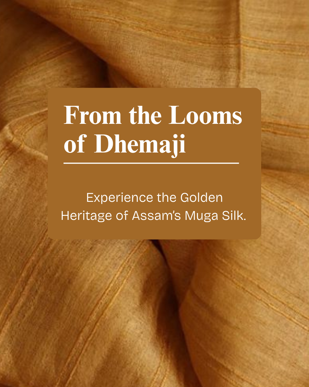 from the looms of dehamji (1)