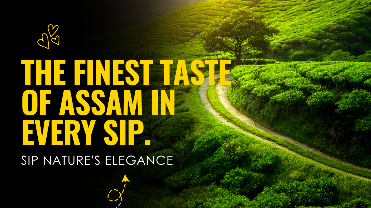 white purple simple modern course trailer youtube thumbnail (5)